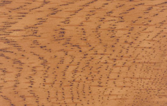 Image of: MLC-B10-HARVEST-OAK-5
